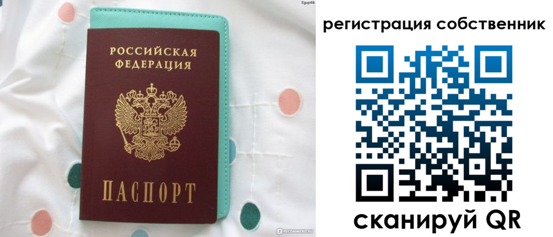 прописка для школы в Братске